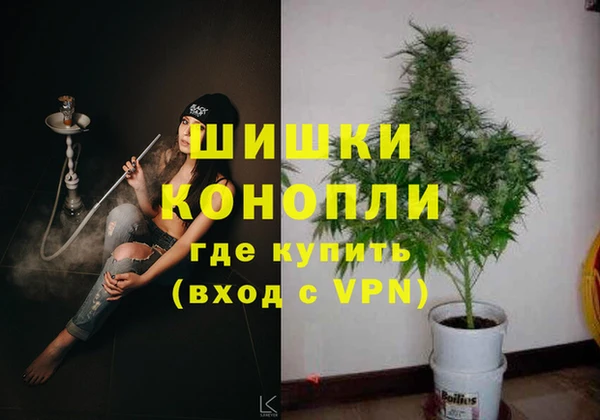гашик Фурманов